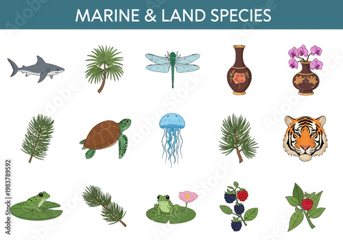 Collection of Marine and Land Species including Animals, Plants and Vases
