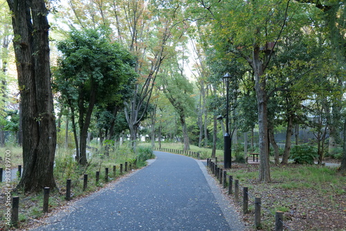 自然公園の遊歩道