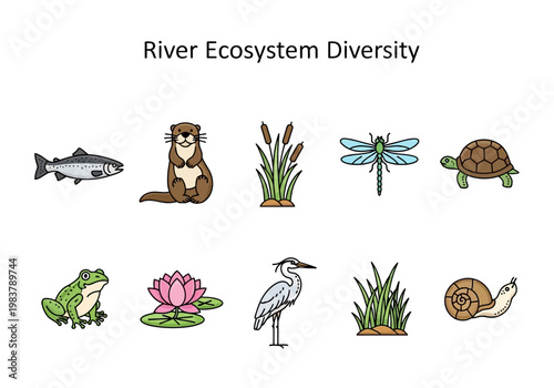 Illustrations of River Ecosystem Diversity Animals, Plants, and Habitats
