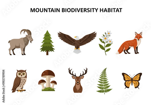 Mountain Biodiversity Habitat A Collection of Diverse Flora and Fauna Found in Mountain Ecosystems
