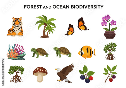 Diverse Ecosystems A Visual Exploration of Forest and Ocean Biodiversity