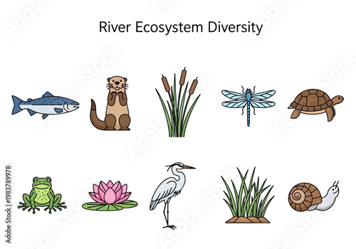 Illustrating the Rich Diversity of River Ecosystems and Their Inhabitants