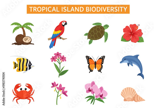 Tropical Island Biodiversity A Collection of Exotic Flora and Fauna Illustrated in Vibrant Colors