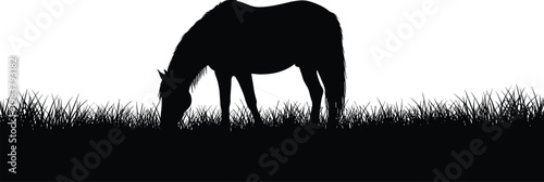 Peaceful horse silhouette grazing in tall grass, minimalist black and white vector illustration for nature and farm themes