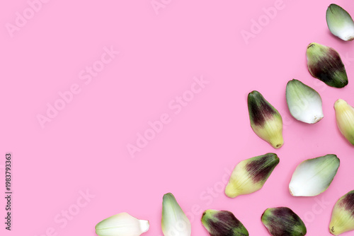 Artichoke petals on pink background.