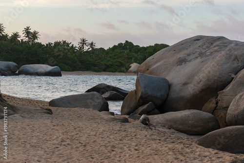 Natural tropical beach scene with granite rocks in water, sandy shore, and palm forest beyond