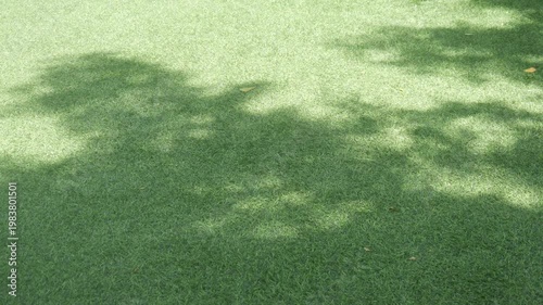 Shadows of trees moving on bright green grass in the sunlight