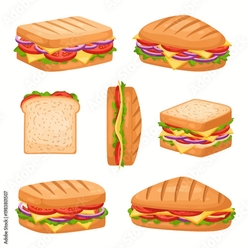 Vector illustration set of various sandwiches including grilled paninis, toasted bread, and club sandwiches layered with cheese, tomatoes, red onions, and fresh green lettuce.