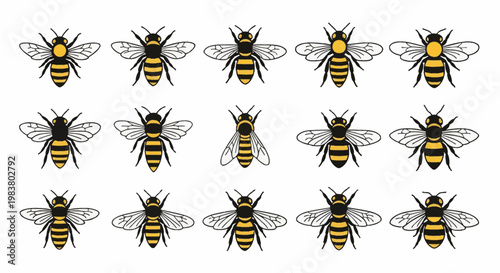 Vector set of fifteen distinct honey bee icons with yellow and black striped bodies and transparent wings. Detailed graphic elements for honey production branding and nature design projects.