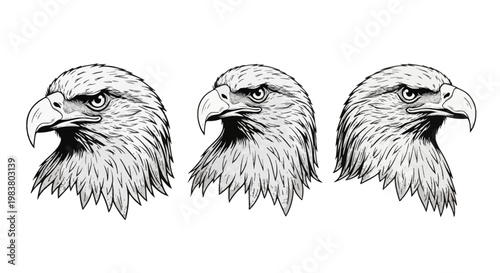 Three detailed black and white vector-style illustrations of bald eagle heads in profile view, featuring intricate feather patterns, sharp beaks, and intense gazes on a white background.