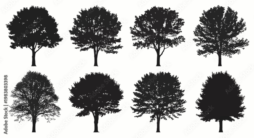 Fototapeta premium Collection of eight detailed black silhouettes representing various deciduous trees like maple, oak, and elm, isolated on white background for landscape design and architectural visualization.