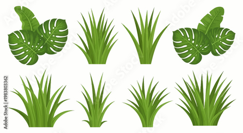 Set of green tropical leaves including monstera deliciosa and banana leaf clusters alongside various clumps of pointed green grass tufts, flat vector illustration on white background.