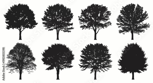 Collection of eight detailed black silhouettes representing various deciduous trees like maple, oak, and elm, isolated on white background for landscape design and architectural visualization.