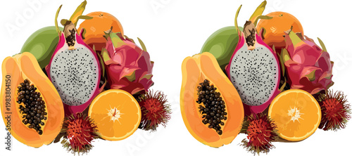 Exotic Tropical Fruit Collection with Papaya Dragon Fruit Rambutan Orange and Mango Vector Illustration on White Background