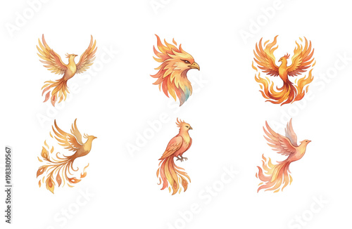 Set of 6 watercolor fire bird phoenix icons isolated on white background