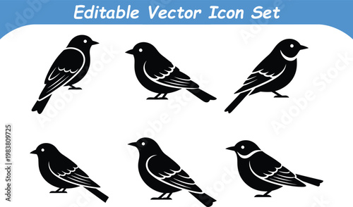 Bird silhouette icon set wildlife graphics silhouette wildlife songbird perching illustration ornithology