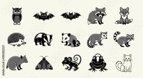 Collection of various nocturnal animals and creatures in a stylized illustration.