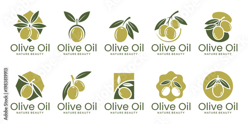A collection of modern olive oil logos with a flat and clean style, featuring fresh olives and leaves for a premium brand identity.