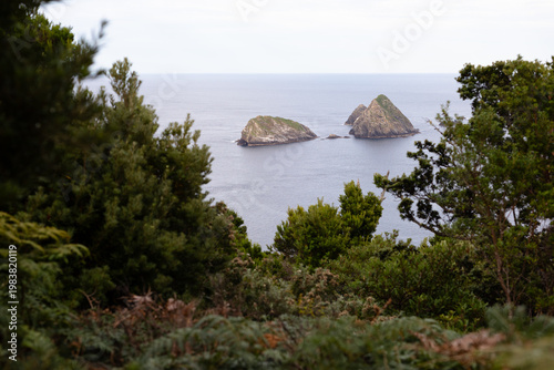 Maatsuyker Island, Tasmania