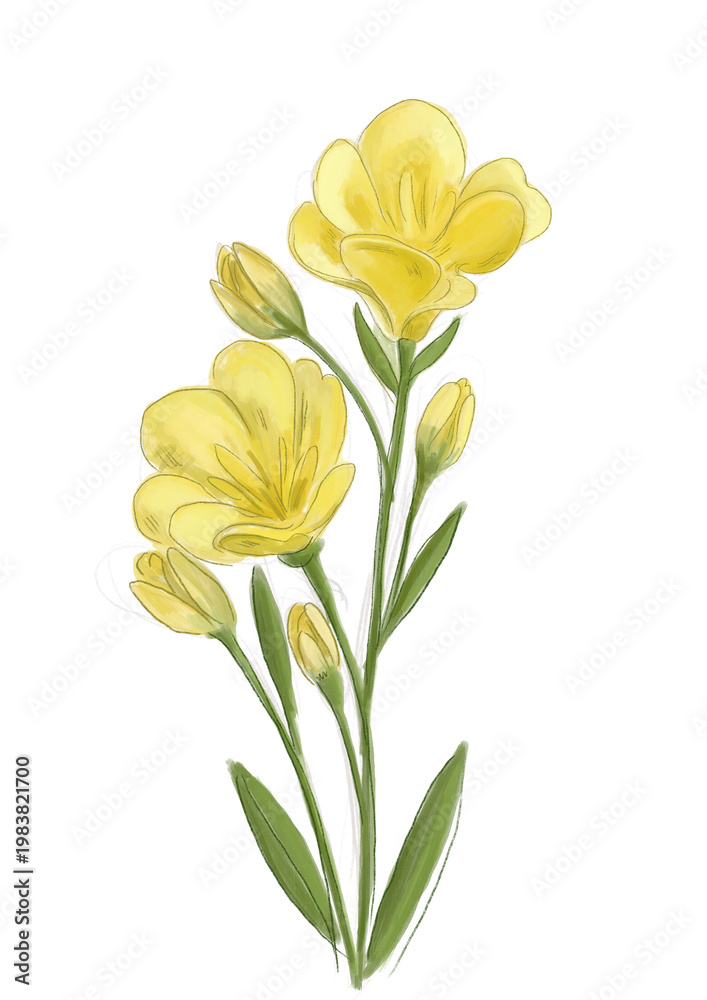 Fototapeta premium Ilustración ramo de flores flor amarillo yellow silbvestre azucena hojas bonito verde primavera acuarela digital png amor 