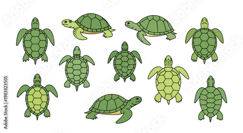 Seamless green cartoon illustration pattern of cucumbers and turtle with flowers leaves plants and vegetables in nature design