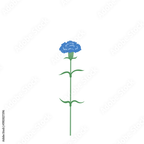 Blue Carnation Flower for Father's Day Floral Vector Illustration Isolated