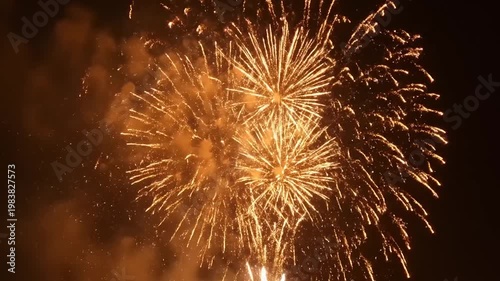 Spectacular Golden Fireworks Display Illuminating the Night Sky.