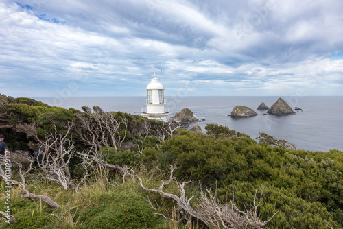Maatsuyker Island, Tasmania