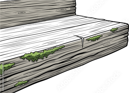 Close-up of weathered wooden planks with green moss growing on the surface and cracks.