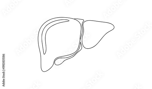 One line liver vector illustration minimalist continuous line medical organ icon black and white