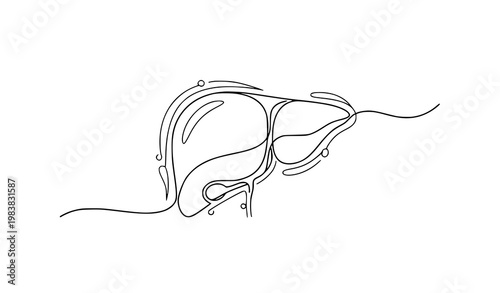 Abstract continuous line liver icon modern minimalist medical organ vector illustration black and white