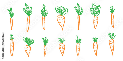 Hand drawn farm carrot plant with green leaves Fresh vegetable doodle set Healthy eco food Organic garden vegetarian food For design, print, packaging, decor, kids books