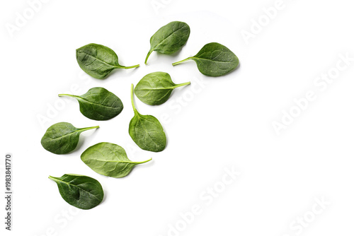 Spinach leaves isolated on white background