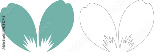 Two teal oval petals with spiky base and outline green