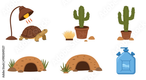 Desert Ecosystem with Cacti and Tortoise in Arid Environment