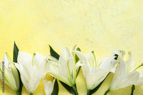 White lily flowers on yello...