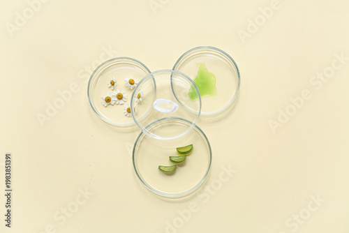 Petri dishes with samples a...