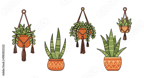 Bohemian Hanging Plants and Potted Succulents - Boho Home Decor Illustration