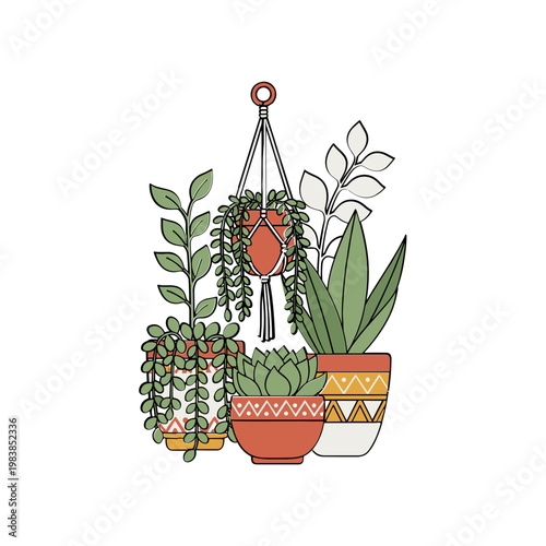 Bohemian hanging plants and potted succulents illustration
