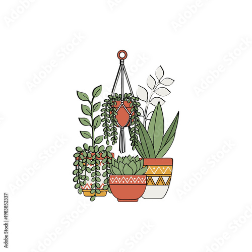 Bohemian Hanging Plants and Potted Succulents Illustration