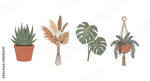 Bohemian Home Decor: Potted Plants, Dried Flowers, Monstera Leaves, Macrame Hanger