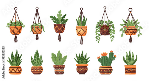 Bohemian Macrame Hanging Planters with Indoor Green Plants and Cacti Collection