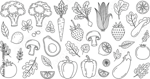Vegetable and fruit doodle collection set with hand drawn outline broccoli carrot corn mushroom and leafy greens isolated on white background