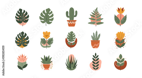 Boho Botanical Illustrations: Abstract Plants, Cacti, Ferns in Earthy Tones