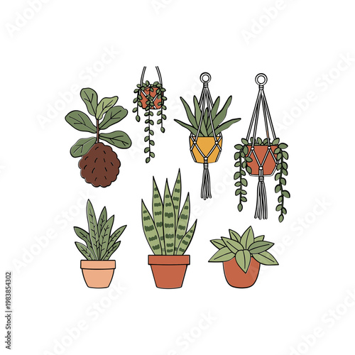 Boho Hanging Plants and Potted Succulents Vector Art
