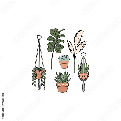 Boho Hanging Plants and Succulents Collection, Indoor Garden Decor, White Background