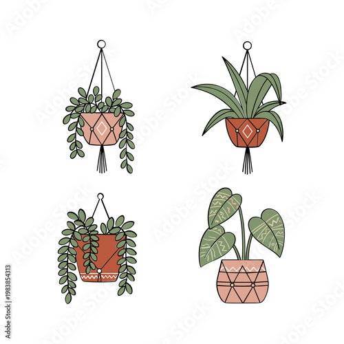 Boho Hanging Plants Illustration - Potted Greenery in Macrame Hangers