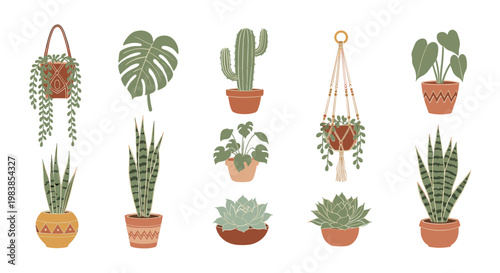 Boho Houseplants Collection: Potted Plants, Cacti, Succulents, and Hanging Plants