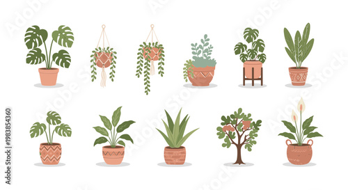 Boho Indoor Plant Collection: Hanging & Potted Greenery, Monstera, Aloe