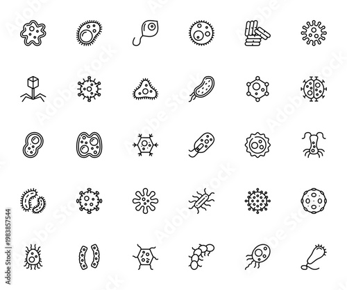 Microorganisms icon set. Vector collection of Amoeba, Bacteria, Virus, and Microbe illustrations. Science and biology symbols pack.